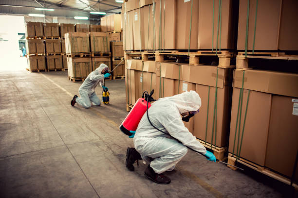 Best Bed Bug Extermination  in East Sparta, OH